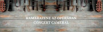 Kamarazene az operában