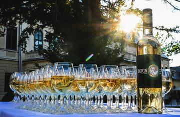 Borkostoló a Borgonával