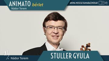 ANIMATO bérlet - 3 | STULLER Gyula és az Anima Musicæ