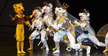 A diótörő – 1. előadás